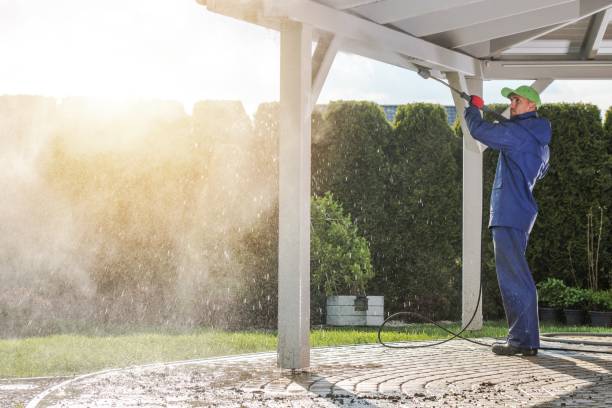 Best Driveway Cleaning and Restoration in Whiteriver, AZ
